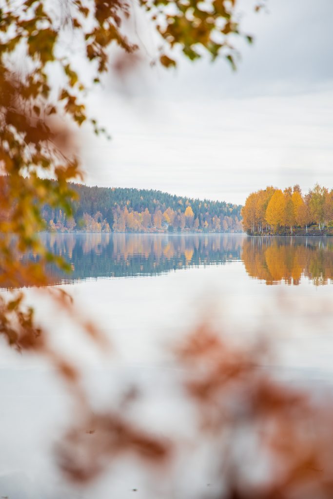 Ruskaa Rovaniemellä järven rannasta kuvattuna