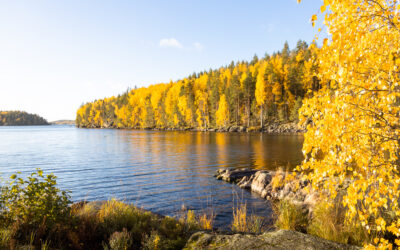 Best tourist route in Finnish lakeland